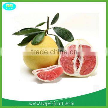 2015 New Arrival Sweet Red Honey Pomelo