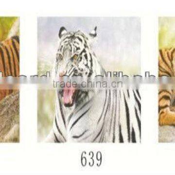 3 Change Tiger