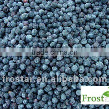 IQF blueberry new crop