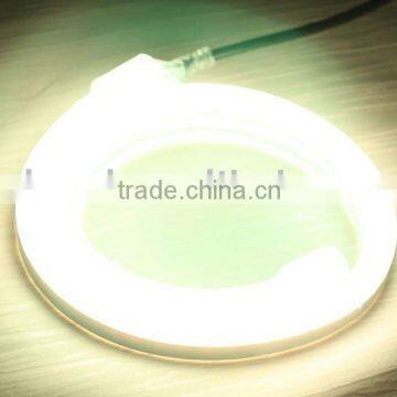 High Brightness LED Rope Light