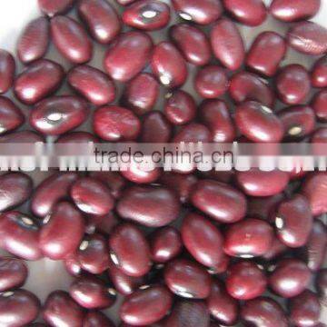 2013crops Red Kidney Bean