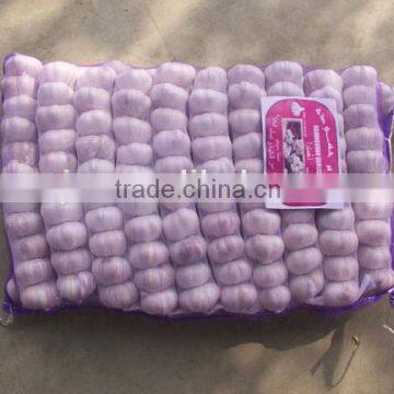 2015 No Pollution and New Harvested Garlic photo-6