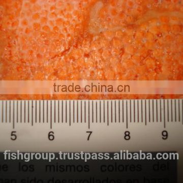 Frozen Salmon Roe