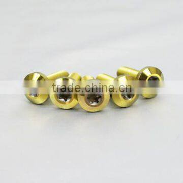 DIN 912 ISO 7380 Titanium Bolt /screw for Mountain Bike Made in China
