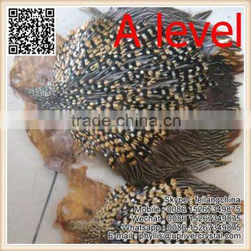 Party Headdress Clothes Decoration Jungle Cock Quality Choice photo-2