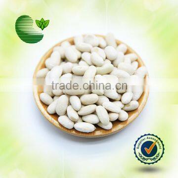 Heilongjiang White Kidney Beans (Navy Type)