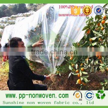 Sunshine pp Agricultural Nonwoven With UV Treated for Fruit Cover