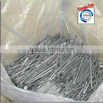 Wood Common Nail Polished Common Nail