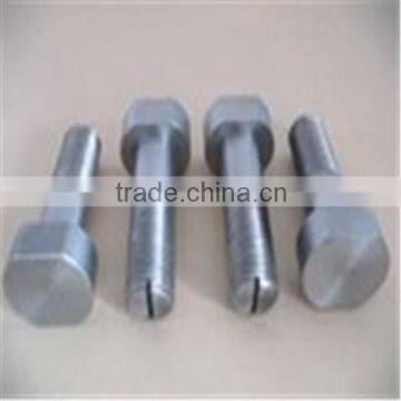 ZP brand molybdenum screw made in China for sale