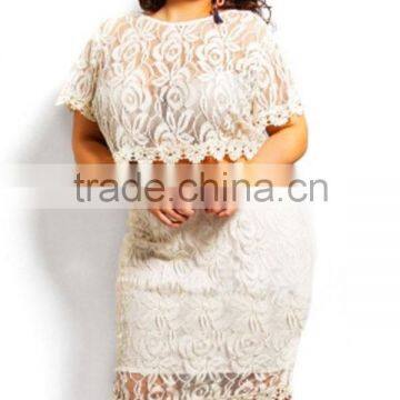 White Plus Size Scallop Lace Crop Skirt Set