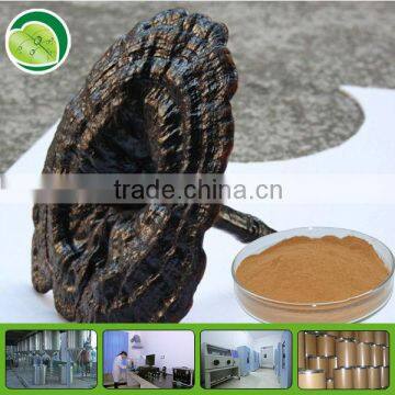 100% natural ganoderma lucidum extract powder,Polysaccharides 20%--50%