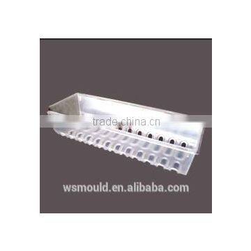 Plastic Injection Mold for Plastic Casing/PS Mould