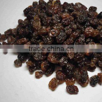 Raisin photo-3