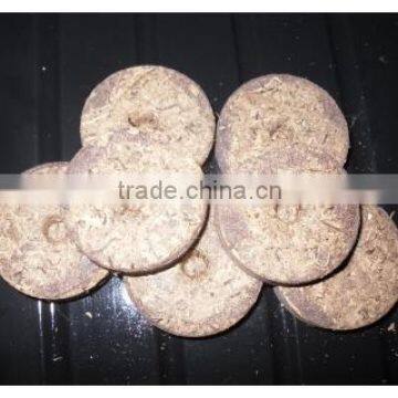 coir disc using for seedling