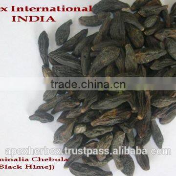 Terminalia Chebula / Harrad / Black Himej photo-3