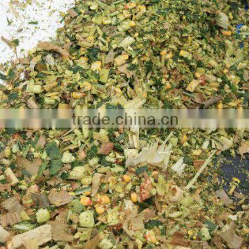 Corn silage for cattle feed