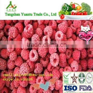 Frozen Raspberry best selling frozen fruits