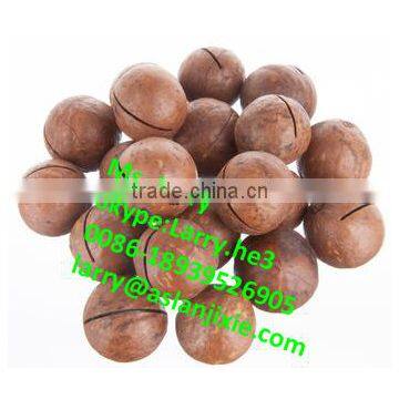 Macadamia Nut Cracker Machine/macadamia Nut Cracking Machine photo-6