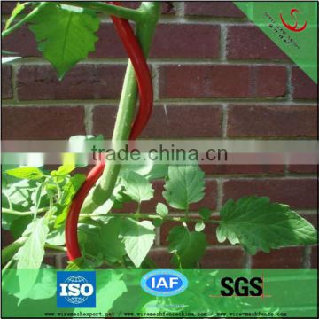 Hot sale spiral wire for tomato support/growing spiral wire