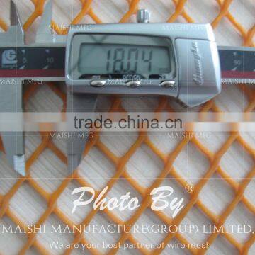 Hdpe Diamond Plastic Wire Mesh(factory) photo-2