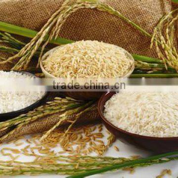 Wholesale Cheap First Grade Instant Protein Nutritional Rice Machine photo-6