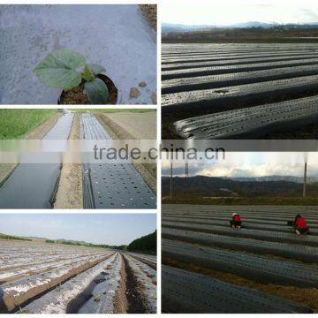 Hot Sale Silver Black Polyethylene Plastic Agricultural Mulching Film for Sale photo-2