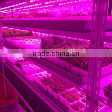 Led Grow Light 30W Waterproof Led Grow Light Bar,light Bar Tube Led