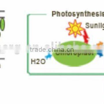 20W Waterproof LED Grow Light photo-3