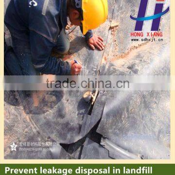 HDPE Geomembrane of Cheap Price for Pond Lake Dam Vertical Farming Waterproof Liner photo-6