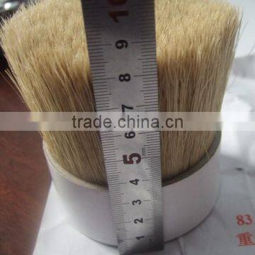 Pure White Boiled Bristle with 90% top