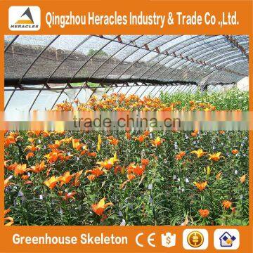 Heracles Low Cost Plastic Tunnel Greenhouses photo-2