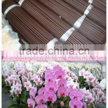 bamboo flower sticks