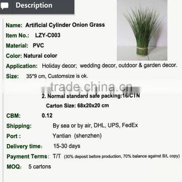 Hotsales Natural Cylinder Onion Grass for Garden Decoraction photo-3