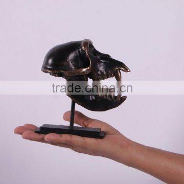 Macaque Skull on Base photo-2