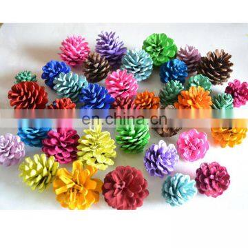 1-15CM colour Real Pinecone Ornaments for Home Christmas Decorations