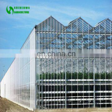 Commercial Nursery Greenhouse With Good Cooling System