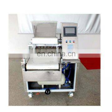 PLC Biscuit Making Machine Cookie Depositor Machine Industrial Biscuit Snack Machine Price photo-6