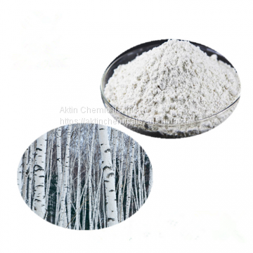 Birch bark Extract/Betulin