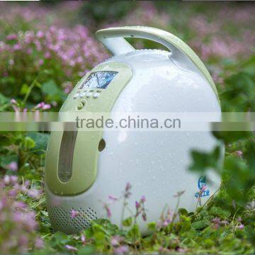 portable oxygen concentrator generator 90% Purity 1L/min 24Hr
