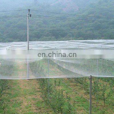 XINHAI Garden PP/PE  Anti-insect Netting for Plant Protection