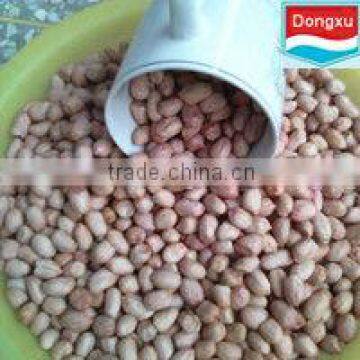 peanut kernels 50/60