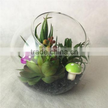 beautiful mix Green artificial succulent plant in glass jar