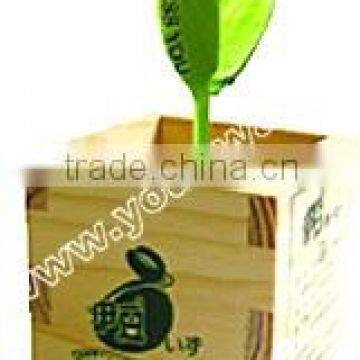 Wooden packing Magic Bean,magic Egg,mini Plant