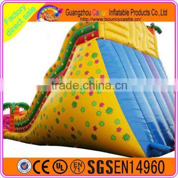 Inflatable Water Slide Classic Design for Kids Hot Sales photo-4