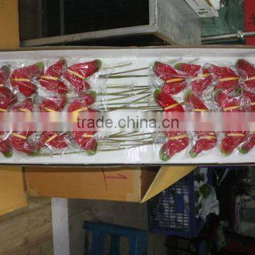 Pure and Mild Flavor Newest 100% Fresh Cut Antirrhinum photo-5