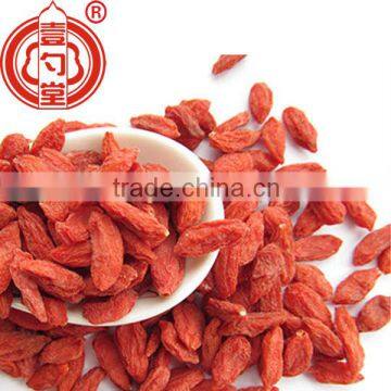 2016 new organic goji berries wholesale