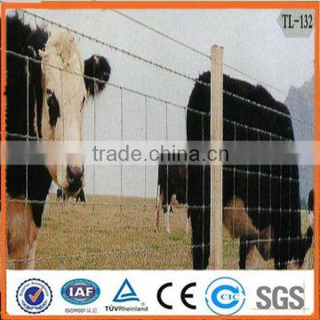 Cattle/Sheep fence using cheap galvanized grassland fence with competitive price