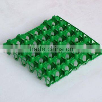 chicken egg trays