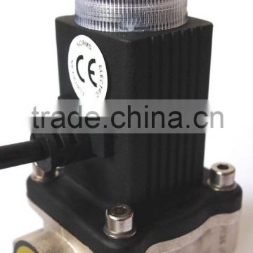 Electric automatic gas shut off valve