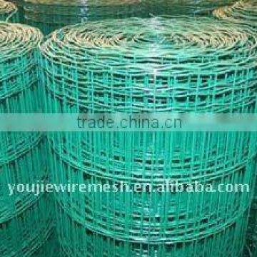 square wire mesh(Galvanized)